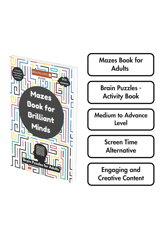 Mazes Book for Brilliant Minds - Brain Puzzles for Adults
